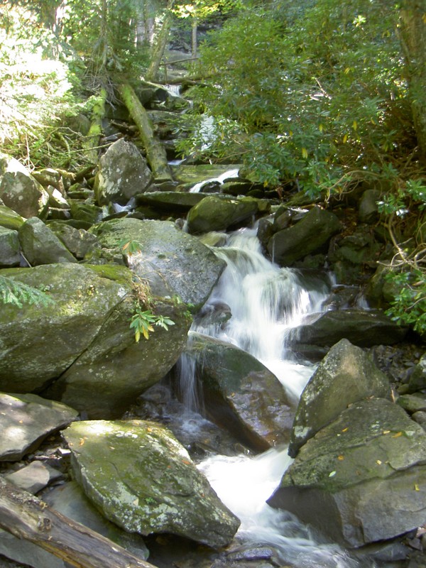 View from that bridge, a 3rd bridge can be seen and the falls itself barely