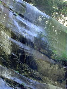 20' to the left of the main falls was some water coming over, probably not there in drier weather