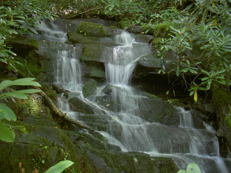 A neat little cascade beside the trail