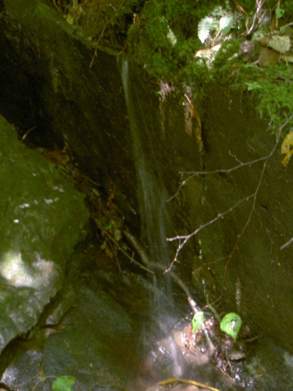 Tricking water everywhere but not much of it in the trail