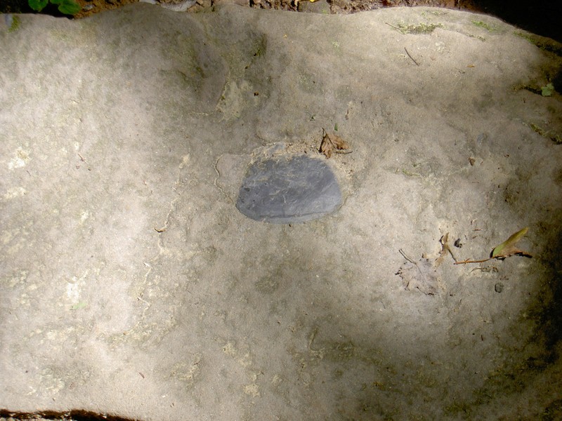 Interesting rock in the trail with a darker type of rock embedded in the middle of it