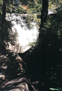 First view of the falls from a ways down the trail still