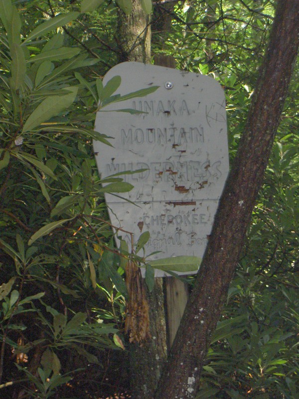 Two creeks are crossed before heading downstream. CNF Wilderness sign immediately after the 2nd crossing.