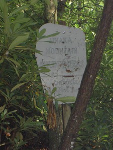 Two creeks are crossed before heading downstream. CNF Wilderness sign immediately after the 2nd crossing.