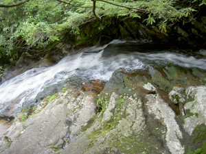 A shot from the trail down to the base of the falls.