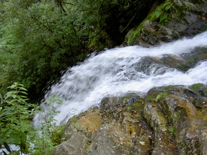 A spot where the water shoots out from the rocks a few feet.