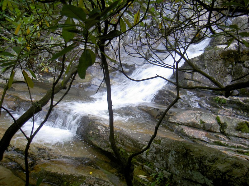 Further down the trail now, sneaking a shot from under a thick canopy of laurel.