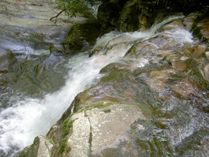 From as far down as the trail appeared to go. Water drops over another 6' ledge here before quickly going out of sight.