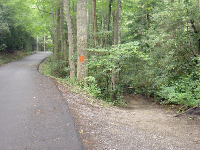 The parking area is just a wide place marked by a red spot on a tree. GPS: 36.14909 -82.25950