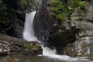Highlight for Album: Rock Creek Falls