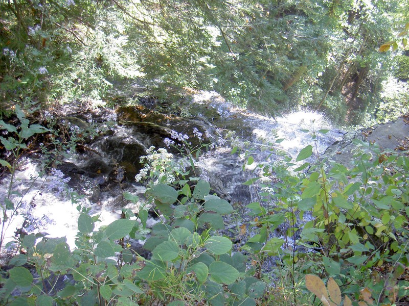 Leaning over the fence to view the water disappearing below the road. Probably photogenic if one could get down there.