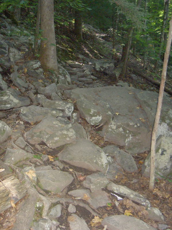 The entire trail isn't this rocky but parts are. A lot of it is also on a fairly steep hillside.