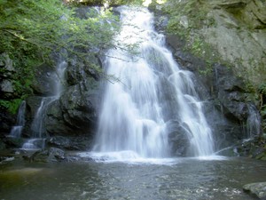 Highlight for Album: Spruce Flats Falls