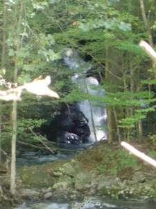 This is the lower falls as viewed from the road, across the creek, a short distance beyond the Institute