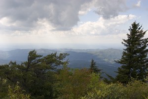 View from an overlook on Unaka Mountain