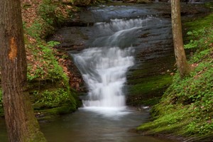 Fishdam Creek, right at the road at the base of Holston Mountain