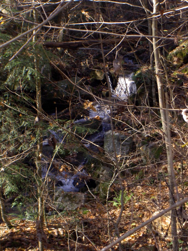 Cloud Creek Cascades. Small roadside and probably on private property. 