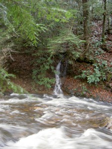 12-11-2004 trip: Small wet-weather cascade emptying into Laurel Fork Creek