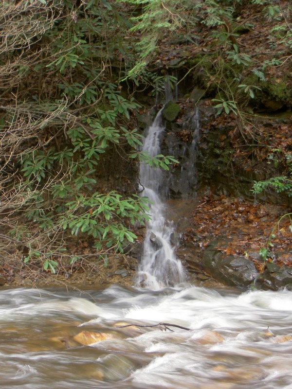 There had been lots of rain for the previous few days