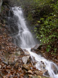 Right beside the upper trail close to the shelter on the AT above Laurel Fork Falls