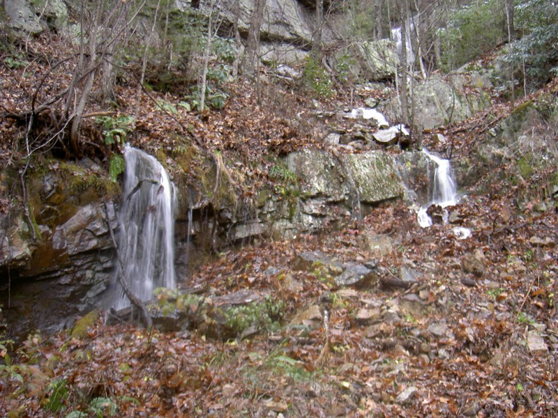 A few hundred feet above the trail to Laurel Fork Falls spotted this GPS: 36.280783 -82.135866