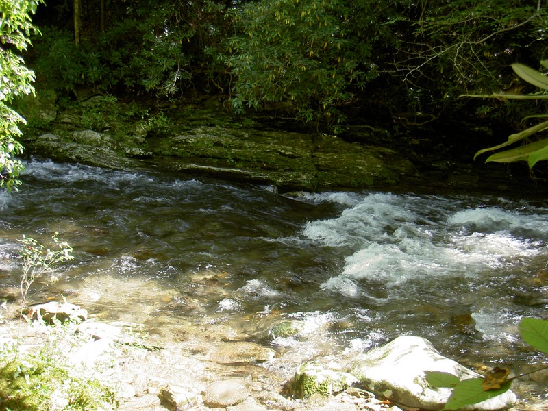 Just a section of Deep Creek upstream from the falls