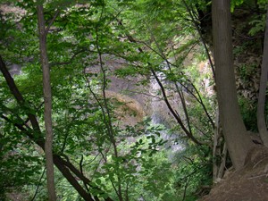 Last stop before lunch was Felkers Falls. Accessible from the midst of a subdivision and also without a great view short of climbing down into the gorge