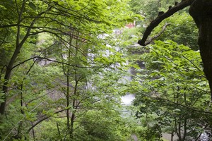 Day 2 we entered Canada early in the morning, intending to visit many waterfalls along the Niagara Escarpment