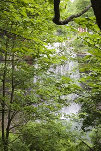 This is DeCew Falls viewed from the rim of the escarpment, unfortunately through thick tree cover