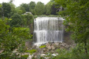 Next up was Webster's Falls. There were TONS of people in the park here, today was Father's Day.