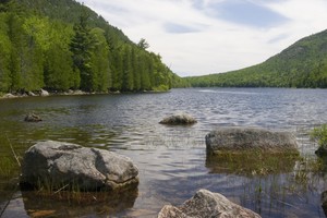 Bubble Pond