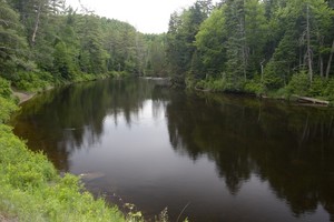 The water just above was prettier than the falls I thought.