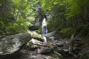 We drove along Peekamoose Road past 6 unnamed falls and Buttermilk Falls. The 6 are mostly only visible in spring melt and we didn't see much until reaching Buttermilk.