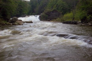 Swallow Falls (upper)