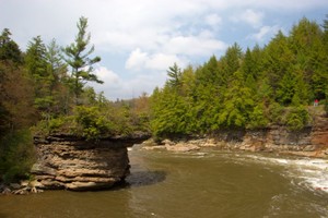 View from atop Swallow Falls