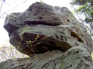 Balanced Rock at Blackwater Falls