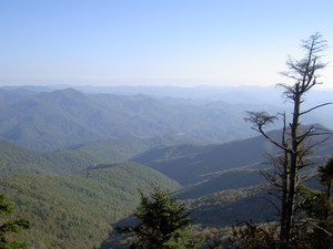 Highlight for Album: Waterrock Knob