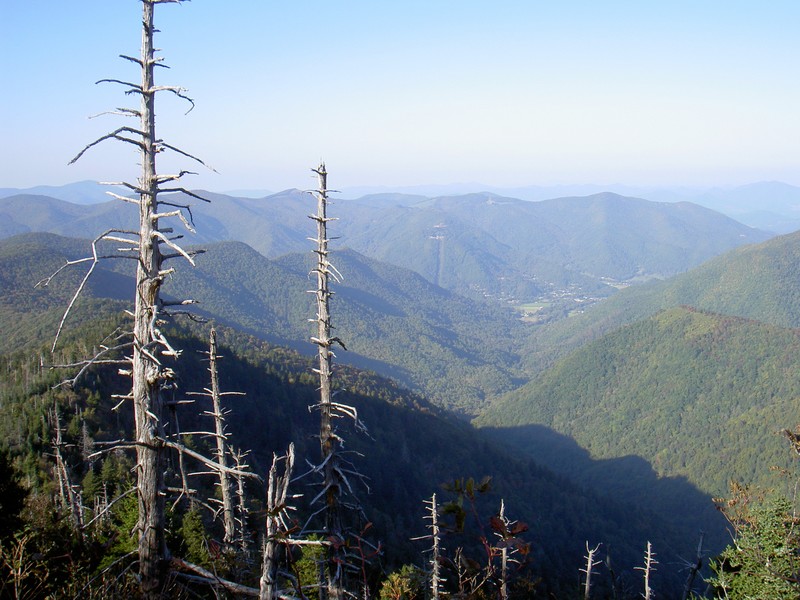 That's the chair lift for the (now closed) Ghost Town in the Sky in Maggie Valley