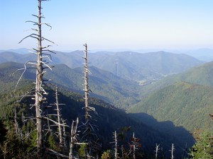 That's the chair lift for the (now closed) Ghost Town in the Sky in Maggie Valley