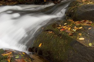 Very interesting creek, lots of neat rocks and cascades for a half mile stretch or more