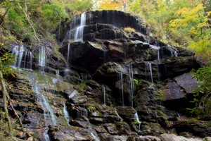 Highlight for Album: Yellow Branch Falls