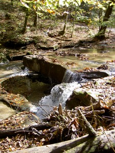 Rock formation on the creek above the falls