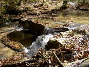 The trail hugs the side of the creek and is quite steep/dangerous in places