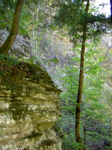 Interesting ridge of rock just downstream 