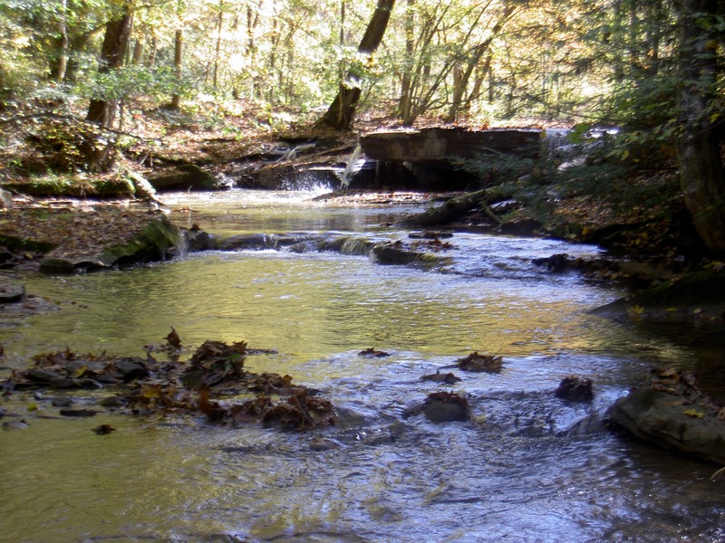 The creek on the way back out. Very interesting in the places safe enough to get to.