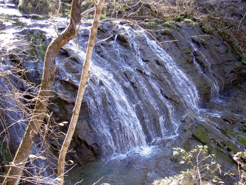 Upper part of the bottom segment