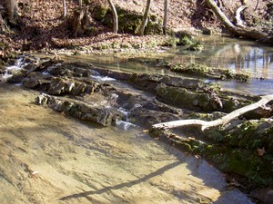 Creek above the upper portion