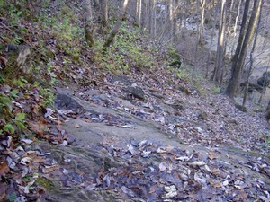 Steep bank with a rope to help up both bottom and middle sections
