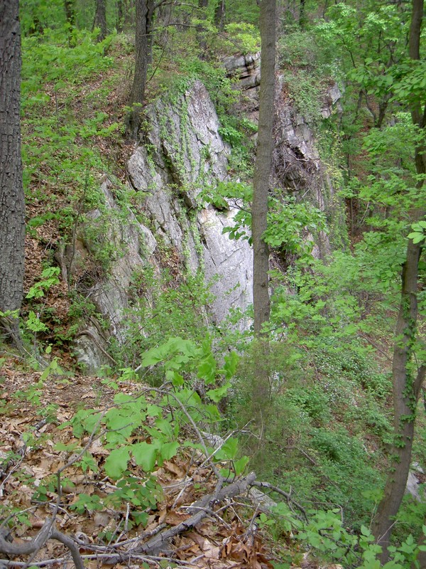 A fairly high cliff.