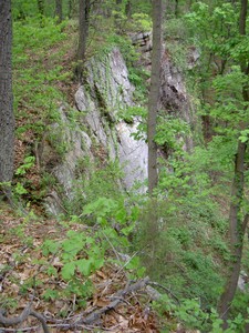 A fairly high cliff.